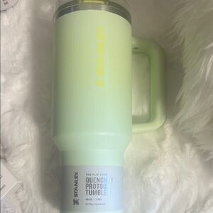 Stanley Quencher Tumbler in Pale Mint